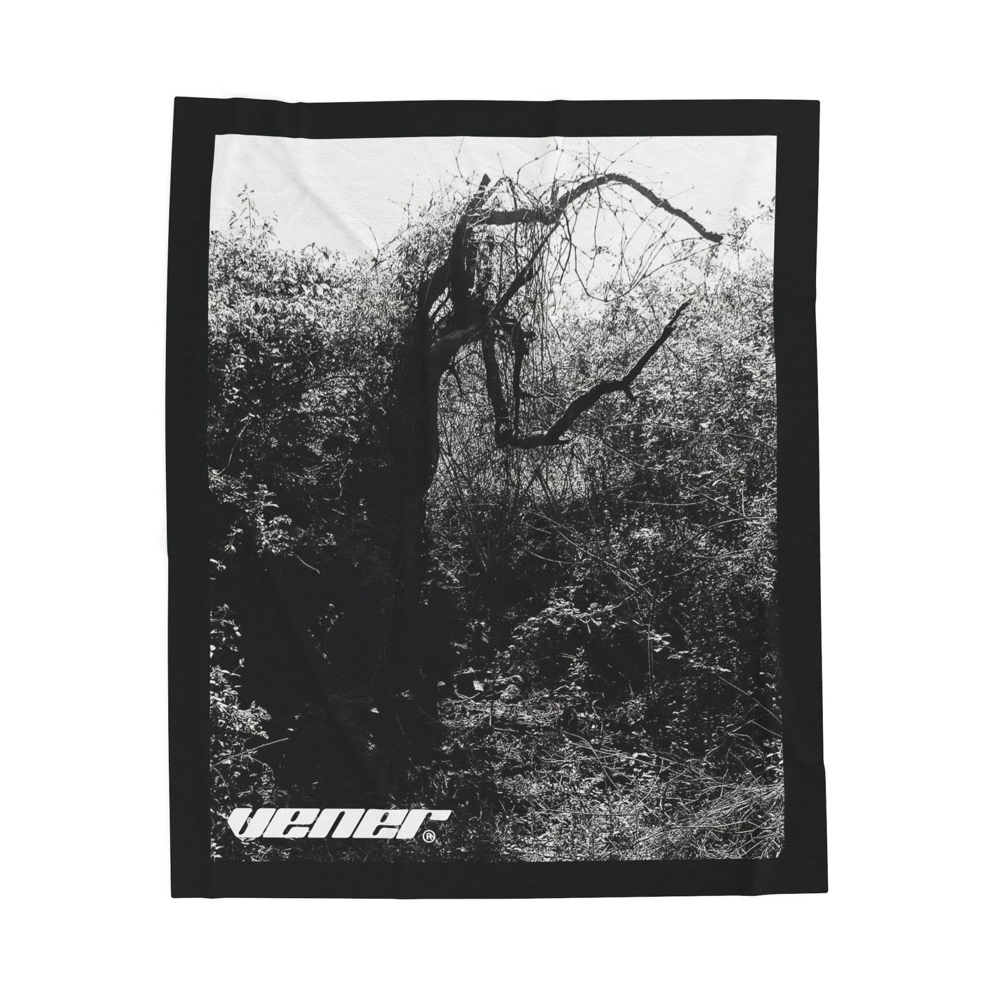 DEAD SAPLING BLANKET