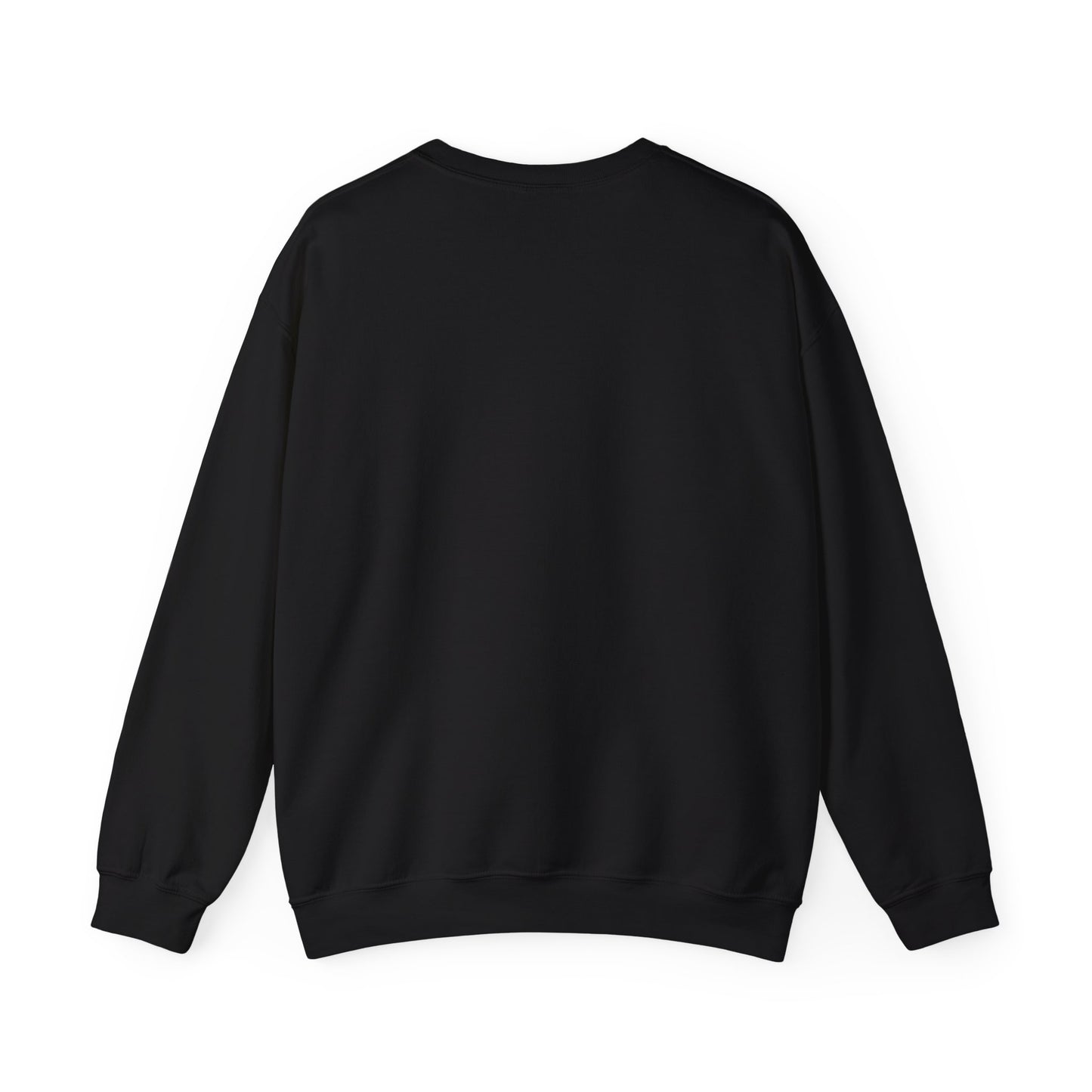 KINETOSCOPE SWEATSHIRT